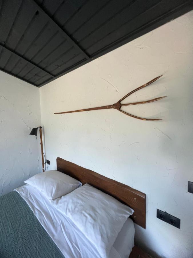 Casa Valeria Baisoaraヴィラ エクステリア 写真