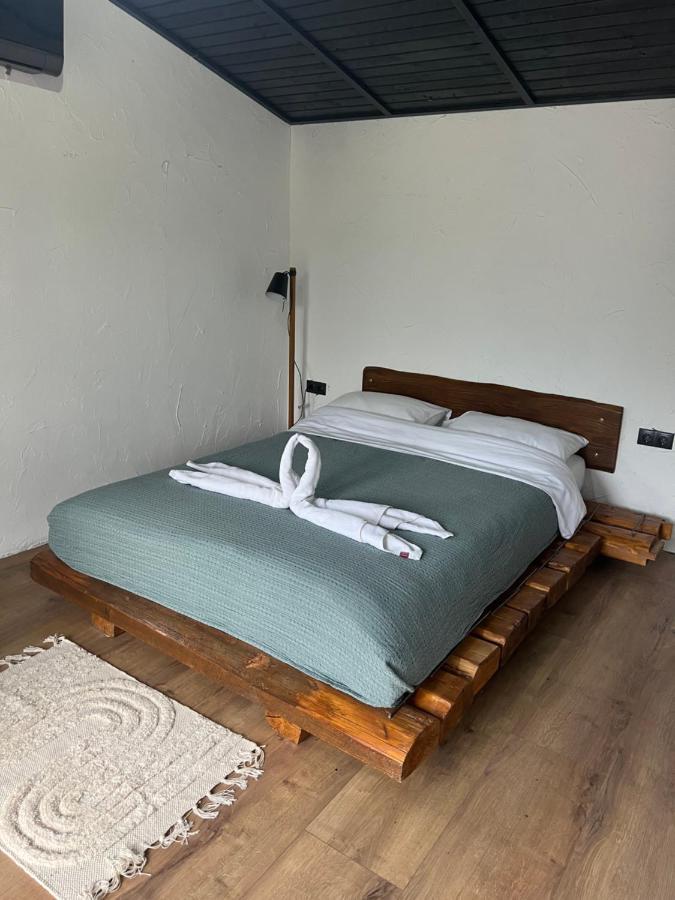 Casa Valeria Baisoaraヴィラ エクステリア 写真